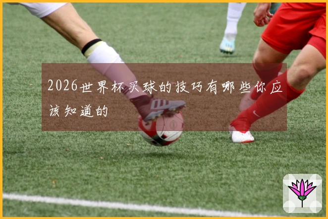 2026世界杯买球的技巧有哪些你应该知道的