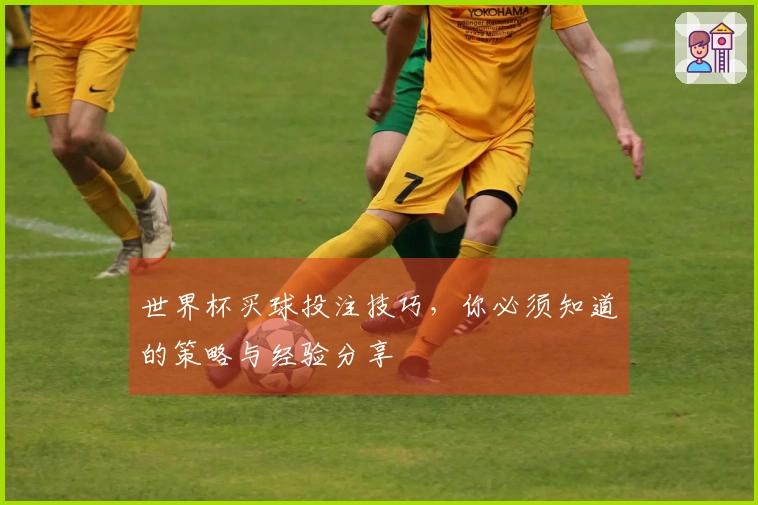世界杯买球投注技巧，你必须知道的策略与经验分享