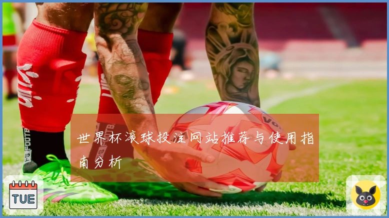 世界杯滚球投注网站推荐与使用指南分析