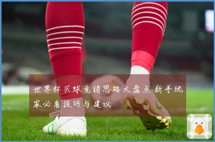 世界杯买球竞猜思路大盘点 新手玩家必看技巧与建议