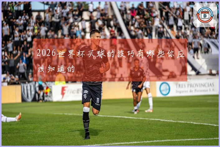 2026世界杯买球的技巧有哪些你应该知道的