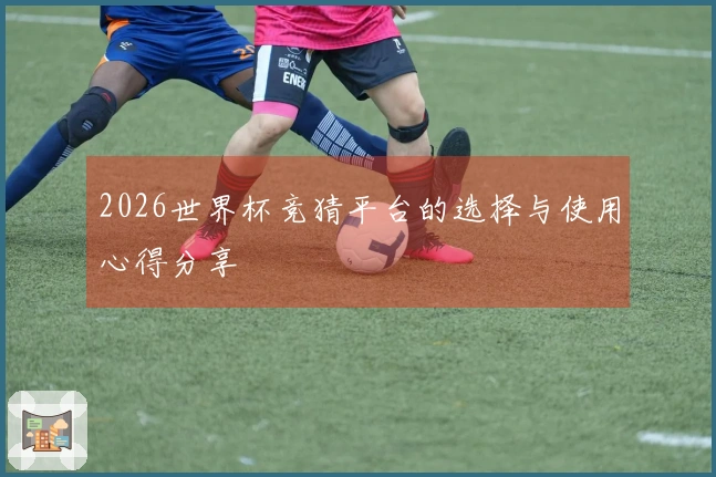 2026世界杯竞猜平台的选择与使用心得分享